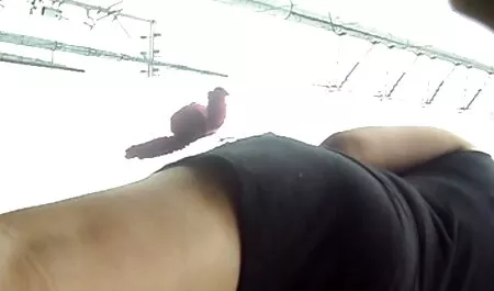 Dua tenis berada di video lucah wan azlin dasar botak pelatih.