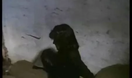 Sementara istri tidur berdekatan, tirinya nurul nafisha video lucah membunuh masak muda.